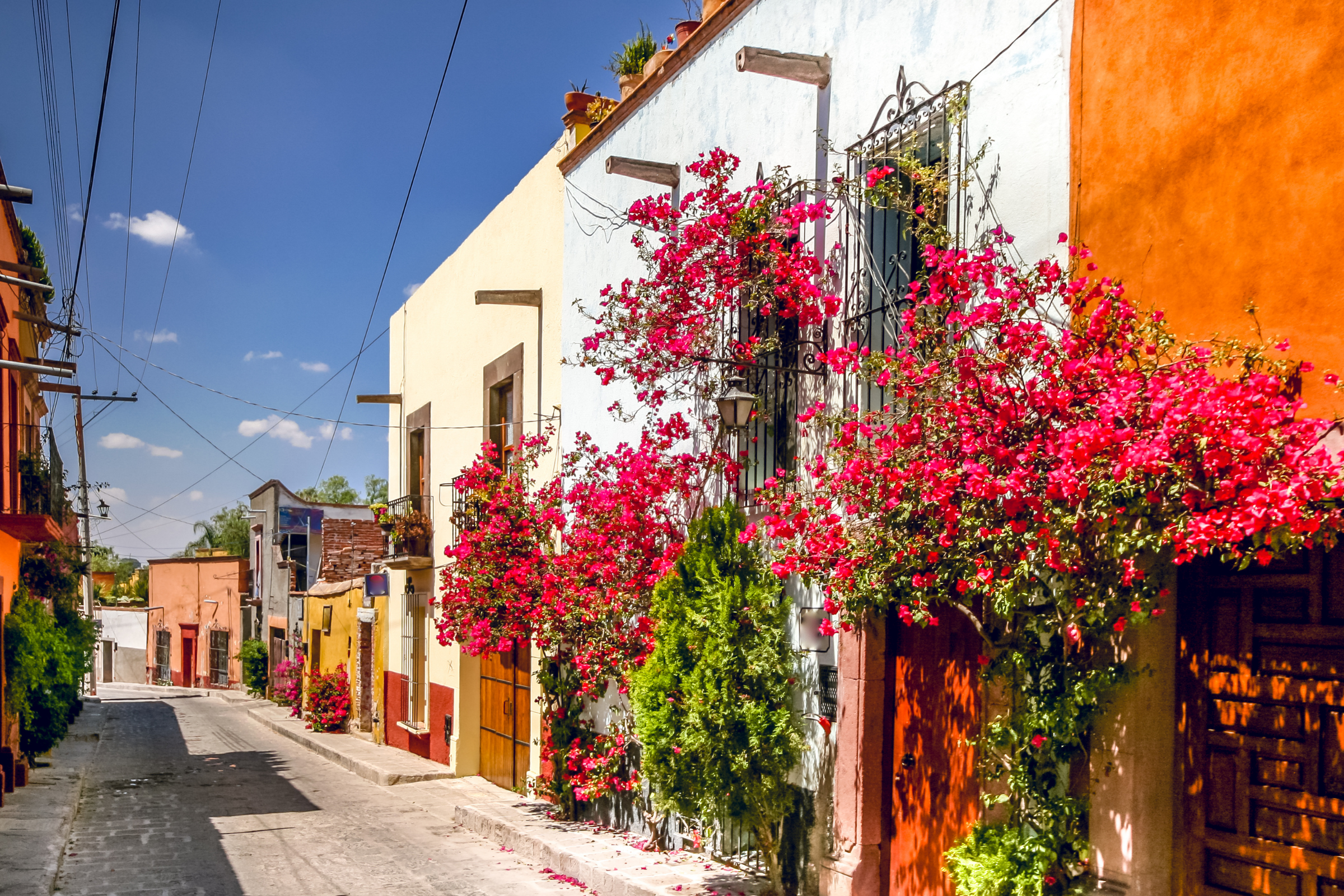san miguel de allende (3).webp